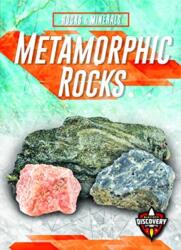 Metamorphic Rocks (ISBN: 9781644870761)