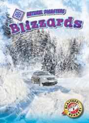 Blizzards (ISBN: 9781644870242)