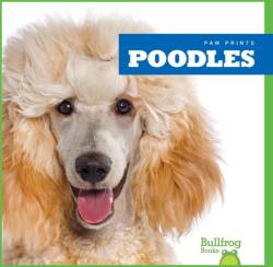 Poodles (ISBN: 9781624967801)