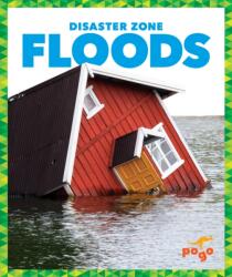 Floods (ISBN: 9781620313985)