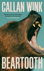 Beartooth (ISBN: 9781803510965)