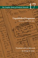 Unpublished Fragments (ISBN: 9780804728904)