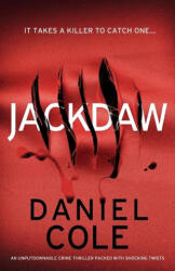 Jackdaw (ISBN: 9781805082750)