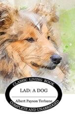 Lad (ISBN: 9781922634030)
