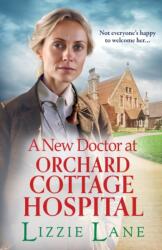 A New Doctor at Orchard Cottage Hospital (ISBN: 9781804834268)