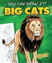 Big Cats (ISBN: 9781600148095)