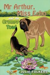 Mr Arthur, Miss Echo and the Grumpy Toad (ISBN: 9781398470033)