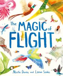 The Magic of Flight (ISBN: 9781444980691)
