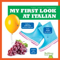 My First Look At Italian (ISBN: 9781645273073)