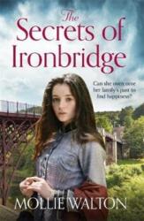 The Secrets of Ironbridge (ISBN: 9781838770686)