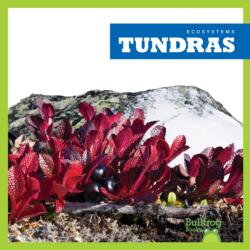 Tundras (ISBN: 9781620316825)