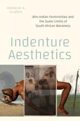 Indenture Aesthetics (ISBN: 9781478031345)
