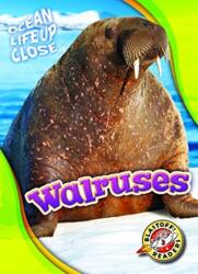 Walruses (ISBN: 9781626174245)