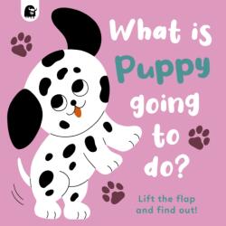 What is Puppy Going to Do? (ISBN: 9780711266186)