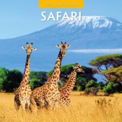 Safari 2025 Square Wall Calendar (ISBN: 9781804424070)