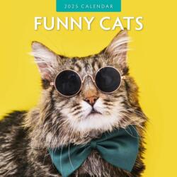 Funny Cats 2025 Square Wall Calendar (ISBN: 9781804423905)