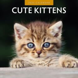 Cute Kittens 2025 Square Wall Calendar (ISBN: 9781804423813)