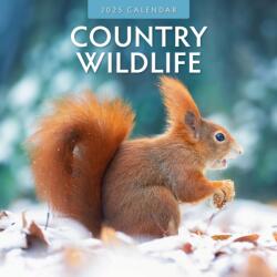 Country Wildlife 2025 Square Wall Calendar (ISBN: 9781804423783)
