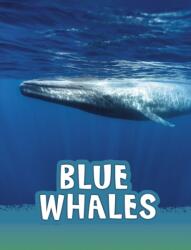 Blue Whales (ISBN: 9781474794893)