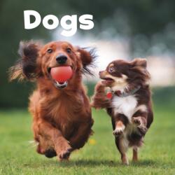 Dogs (ISBN: 9781474757157)