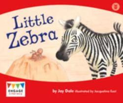 Little Zebra (ISBN: 9781406248548)