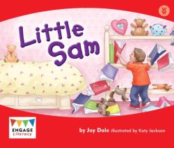 Little Sam (ISBN: 9781406248517)