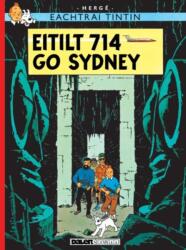 Eitilt 714 go Sydney (ISBN: 9781913573850)