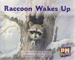 Raccoon Wakes up (ISBN: 9780170124300)