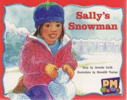 Sally's Snowman (ISBN: 9780170124294)