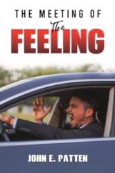 The Meeting of the Feeling (ISBN: 9781528993814)