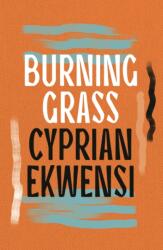 Burning Grass (ISBN: 9781035906017)