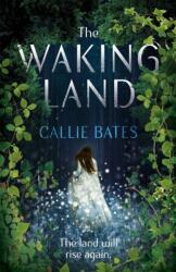 The Waking Land (ISBN: 9781473638754)