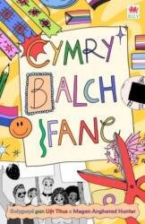 Cymry. Balch. Ifanc (ISBN: 9781804164044)