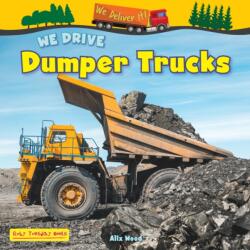 We Drive Dumper Trucks (ISBN: 9781788565875)
