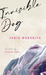 Invisible Dog (ISBN: 9781800174511)