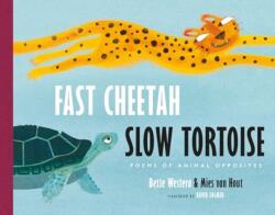 Fast Cheetah, Slow Tortoise (ISBN: 9780802856357)