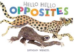 Hello Hello Opposites (ISBN: 9781797219981)