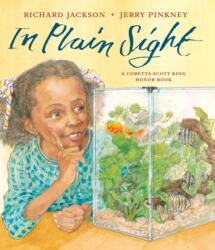 In Plain Sight (ISBN: 9781250895431)