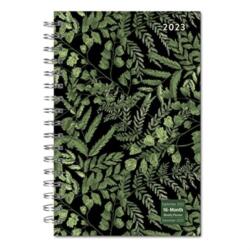 DESIGNER FANCY FERNS (ISBN: 9781531917586)