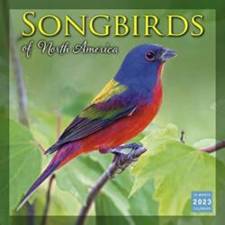 SONGBIRDS OF NORTH AMERICA (ISBN: 9781531916398)