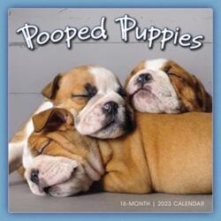 POOPED PUPPIES (ISBN: 9781531916336)