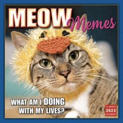 MEOW MEMES (ISBN: 9781531916275)