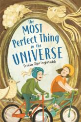 Most Perfect Thing in the Universe (ISBN: 9780823454969)