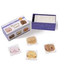 Memory Game: Boobs (ISBN: 9781488966095)