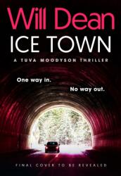 Ice Town (ISBN: 9781399717311)