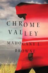 Chrome Valley (ISBN: 9781324095637)