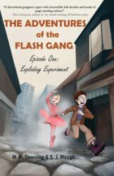Adventures of the Flash Gang (ISBN: 9781646033225)