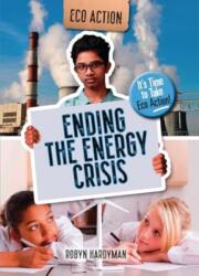 Ending the Energy Crisis (ISBN: 9781915153623)