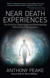 Near Death Experiences (ISBN: 9781398839984)