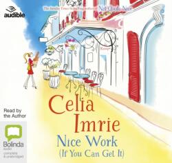 Nice Work (ISBN: 9781489375629)